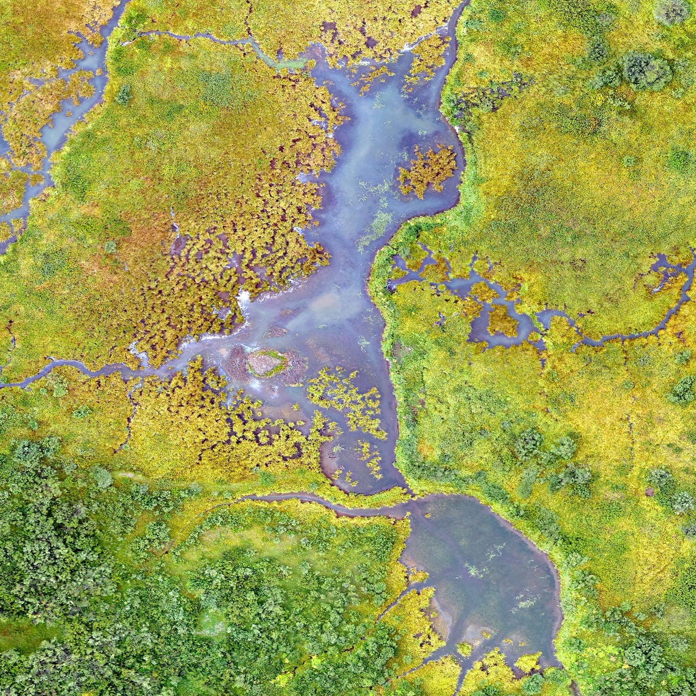 Dyk ned i vores hovedområder og bliv klogere på hvordan du skal forholde dig til dine valg.